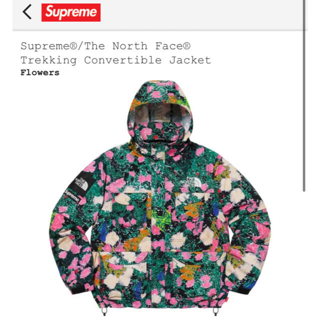 Supreme The North Face Trekking Jacket L