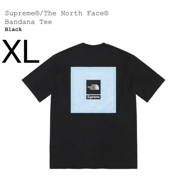 supreme the north face bandana tee XL