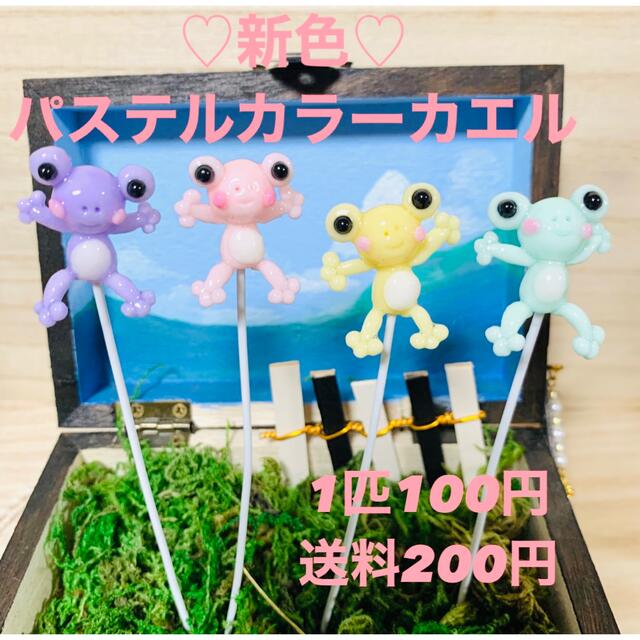 〜そのまま飾れる〜多肉植物寄せ植え(ハンドメイド)カエルピックフラワー/ガーデン