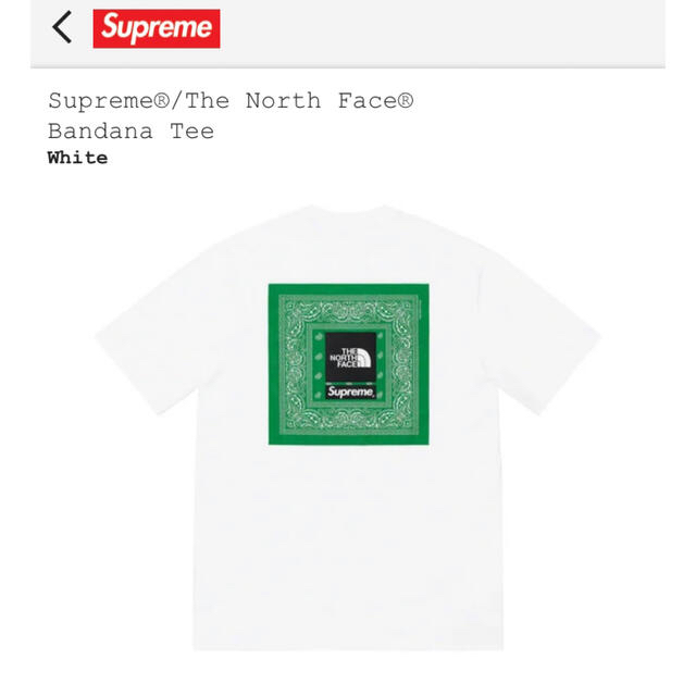 Supreme The North Face Bandana Tee