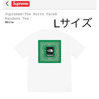 シュプリーム(Supreme)のSupreme The North Face bandana tee tシャツ(Tシャツ/カットソー(半袖/袖なし))