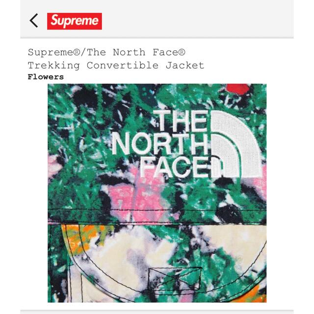 Supreme(シュプリーム)のsupreme The North Face コラボジャケット メンズのジャケット/アウター(マウンテンパーカー)の商品写真