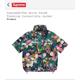 シュプリーム(Supreme)のsupreme The North Face コラボジャケット(マウンテンパーカー)