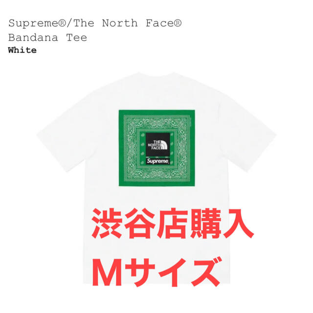 Supreme／The North Face Bandana Tee