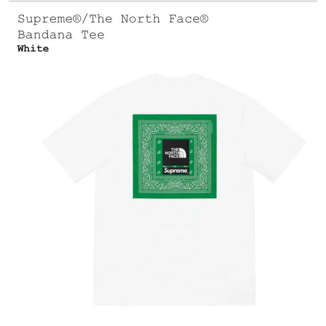 XL Supreme The North Face Bandana Tee メンズ Tシャツ/カットソー