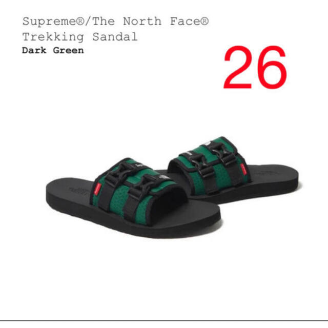 Supreme®/The North Face® Trekking Sandal