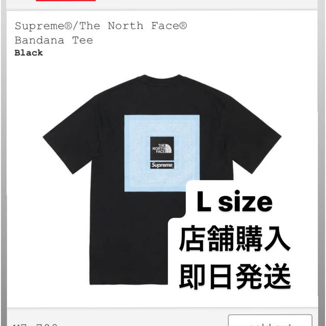 黒Lサイズ The North Face®  Bandana Tee