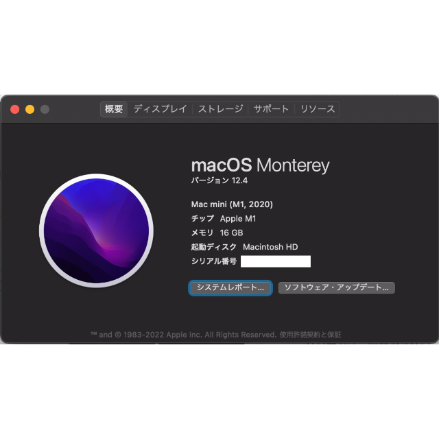 M1 Mac Mini CTO 16G/256GB 珍しい 51.0%OFF