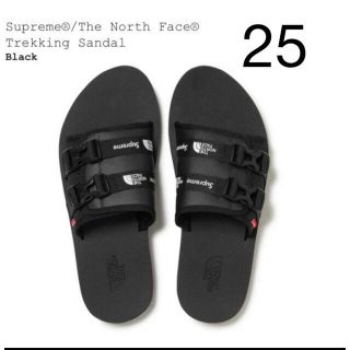 シュプリーム(Supreme)のThe North Face Supreme Trekking Sandal(サンダル)