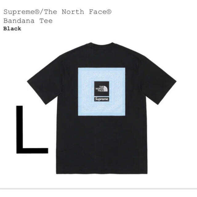 ✅【HAWAII屋購入】THE NORTH FACE 希少TAG Tee茶タグ