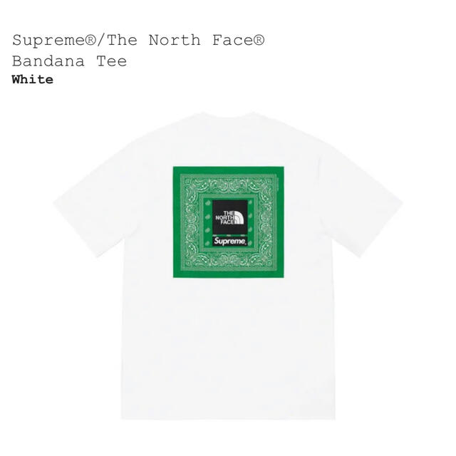 Supreme(シュプリーム)のSupreme The north face Bandana tee  メンズのトップス(Tシャツ/カットソー(半袖/袖なし))の商品写真