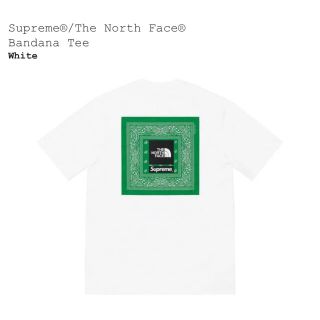 シュプリーム(Supreme)のSupreme The north face Bandana tee (Tシャツ/カットソー(半袖/袖なし))