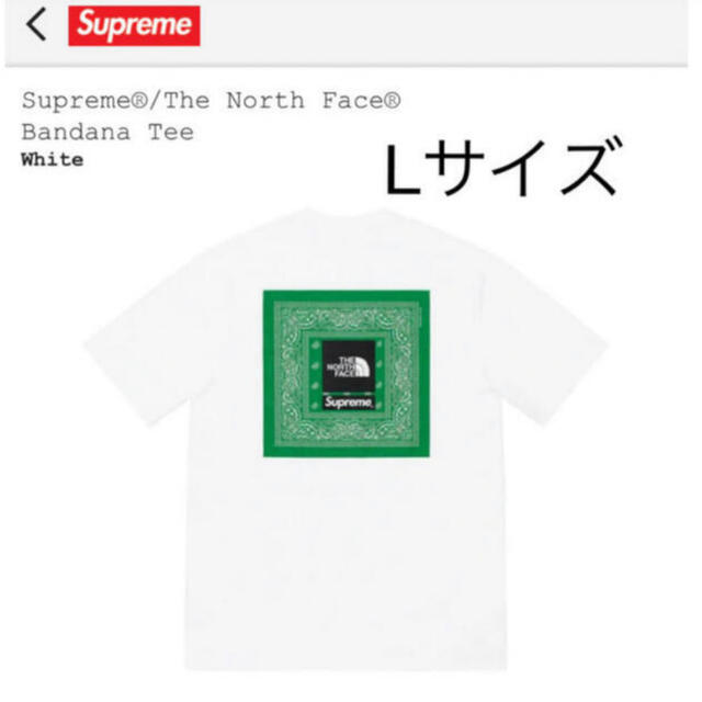 Supreme The North Face bandana tee tシャツTシャツ/カットソー(半袖/袖なし)