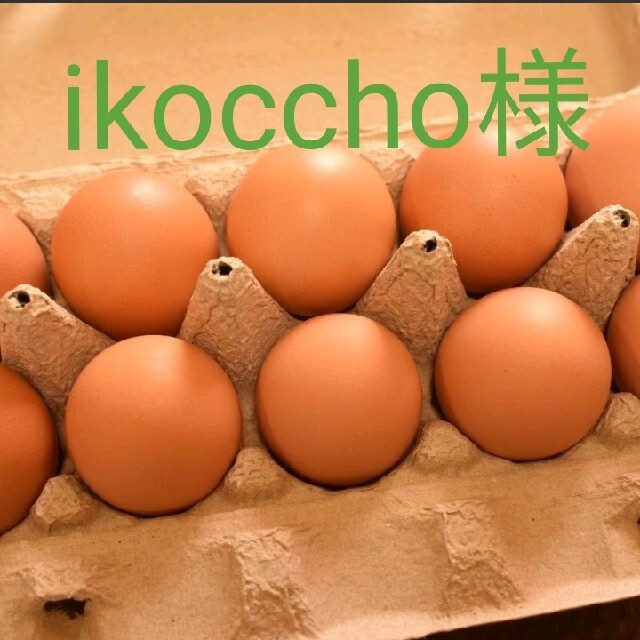 ikoccho様専用　平飼いたまご30個 食品/飲料/酒の食品(野菜)の商品写真