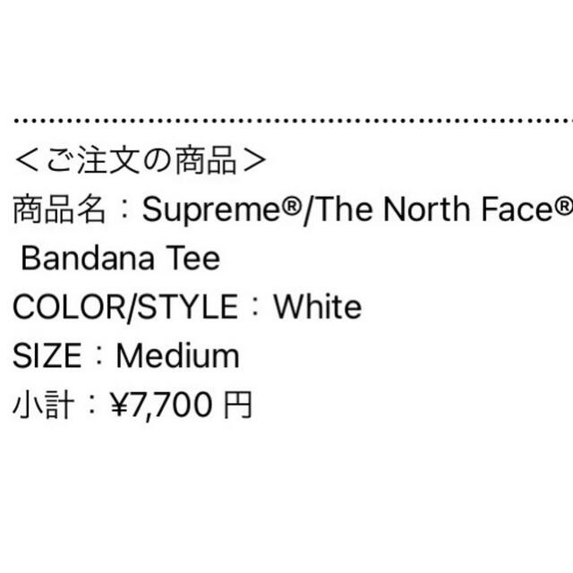 Supreme The North Face  Bandana Tee