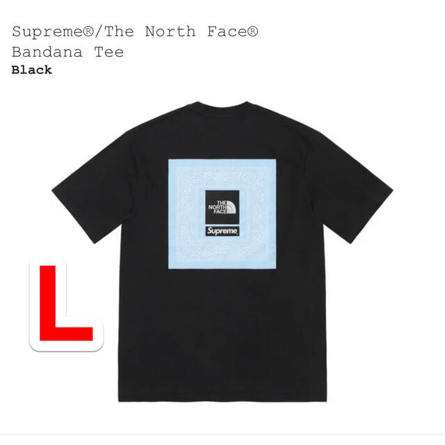 Supreme®/The North Face®  Bandana Tee