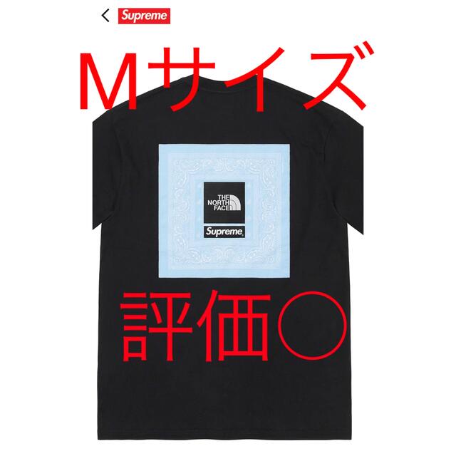 Supreme / The North Face Bandana Tee - Tシャツ/カットソー(半袖/袖なし)