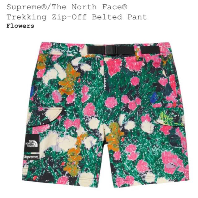 Supreme(シュプリーム)のSupreme / The North Face Trekking Pant メンズのパンツ(ワークパンツ/カーゴパンツ)の商品写真