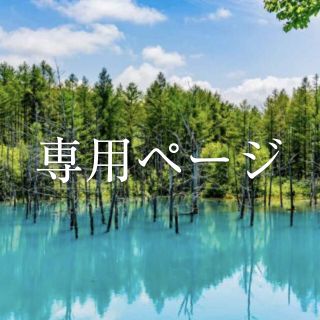 専用　289 ソックス10足セット１　381ショーツセットL1　合計２点(ショーツ)