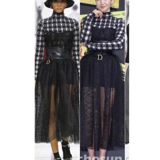 Christian Dior - Dior コレクションランウェイ メッシュスカート 36の
