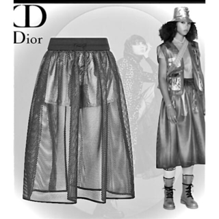 Christian Dior - Dior コレクションランウェイ メッシュスカート 36の ...