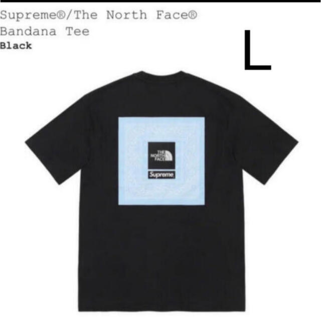 Supreme×THE NORTH FACE Bandana Tee Tシャツ/カットソー(半袖/袖なし)