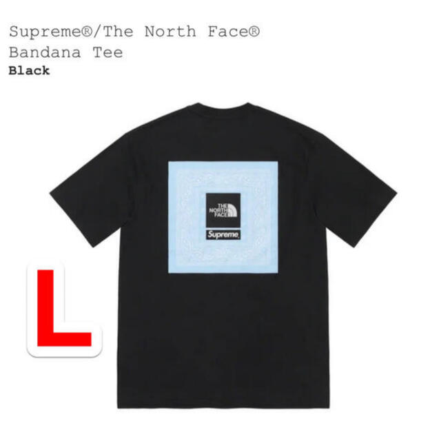 Supreme The North Face tee Large