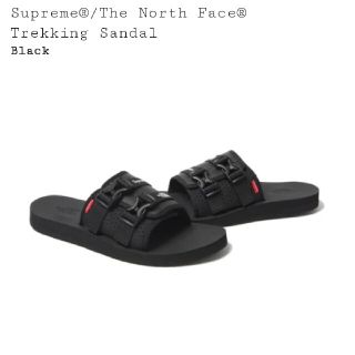 シュプリーム(Supreme)のSupreme The North Face Trekking sandal(サンダル)