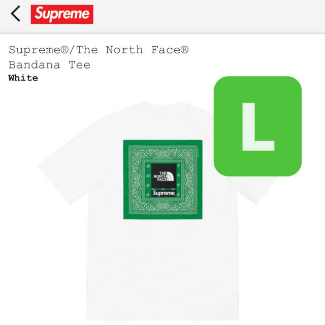 Supreme The North Face Bandana Tee L