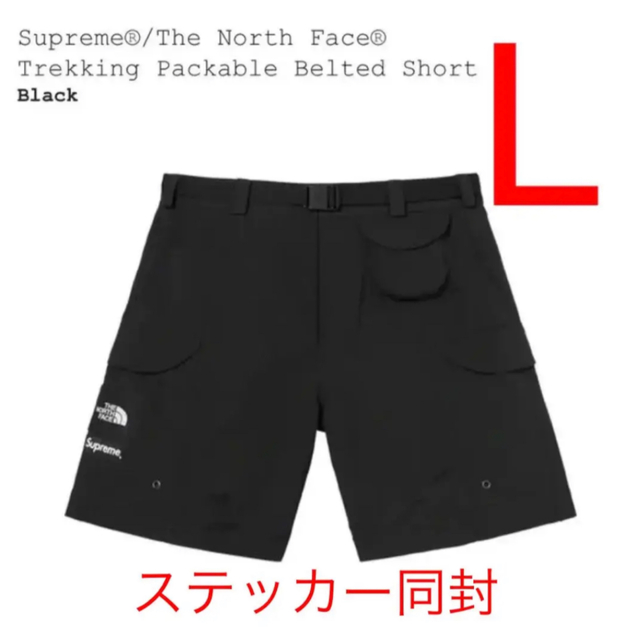 NorthFace Trekking Packable Belted Short