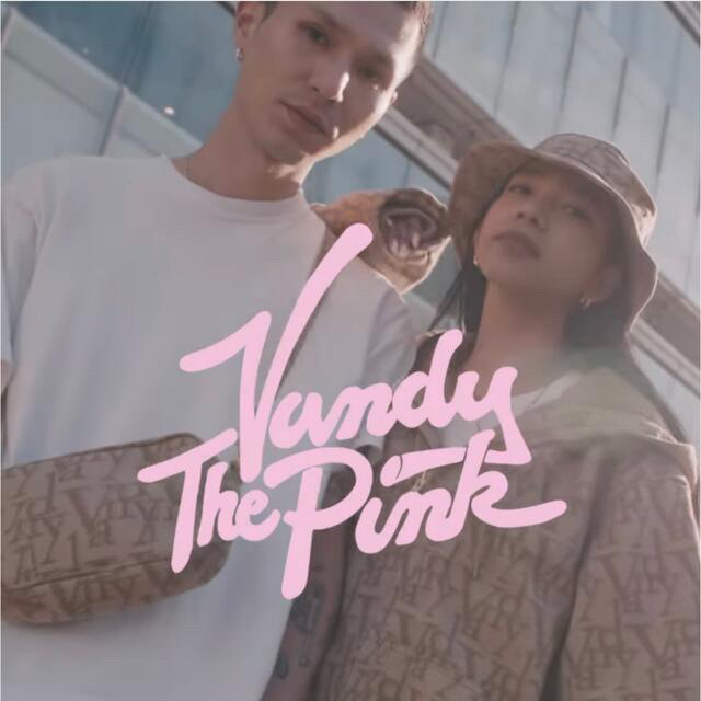Vandy The Pink バケットハット LXL 58 59 supreme ピックアップ特集