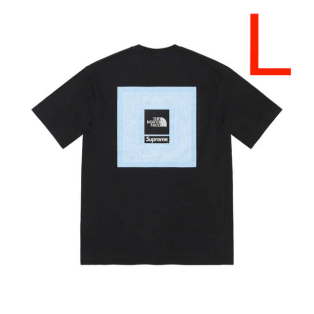 Supreme×THE NORTH FACE Bandana Tee