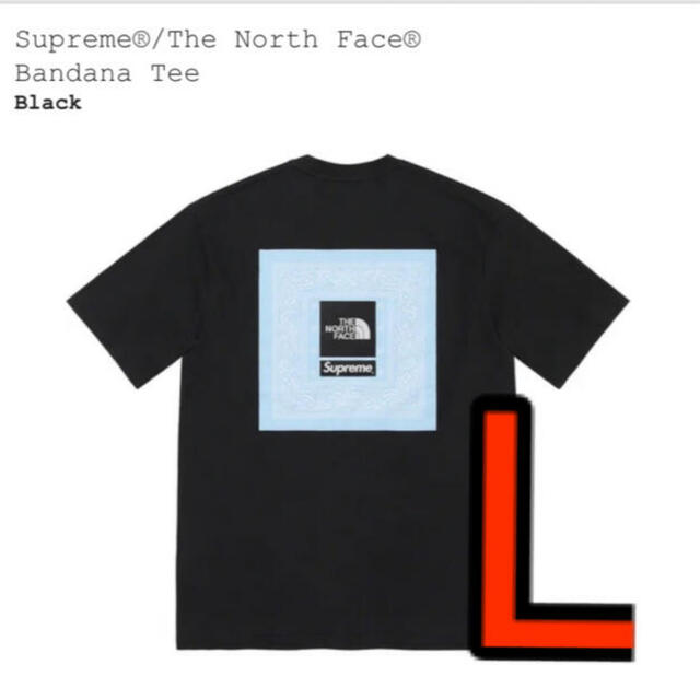 Supreme The North Face tee Largeトップス