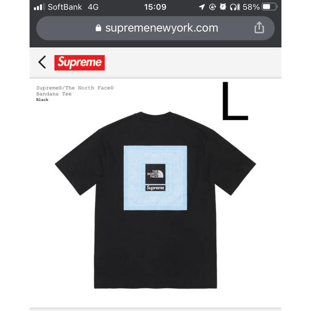 L Supreme THE NORTH FACE bandana Tee