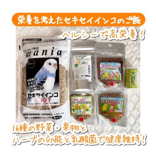 【ヘルシーで高栄養】栄養を考えたセキセイインコのご飯6点セット(鳥)