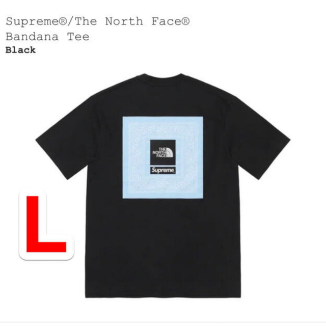 Supreme The North Face Bandana TeeTシャツ/カットソー(半袖/袖なし)