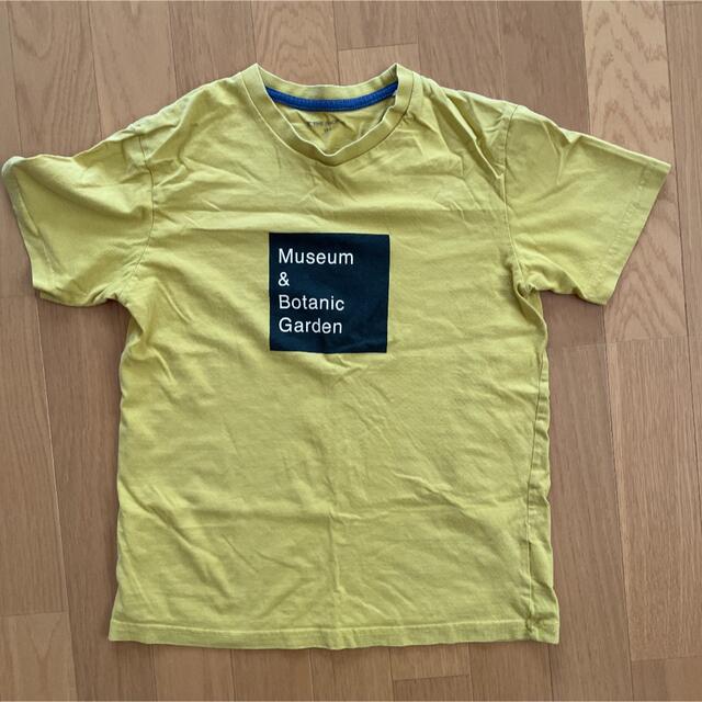 THE SHOP TK(ザショップティーケー)のキッズ　Tシャツ　黄色　150cm キッズ/ベビー/マタニティのキッズ服男の子用(90cm~)(Tシャツ/カットソー)の商品写真