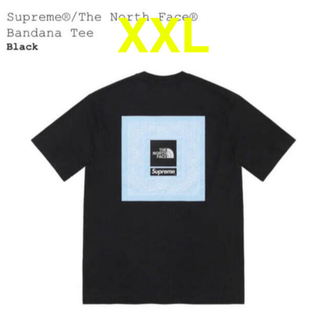 Supreme(シュプリーム)のSupreme®/The North Face®  Bandana Tee メンズのトップス(Tシャツ/カットソー(半袖/袖なし))の商品写真