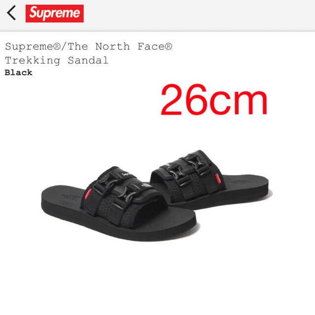 Supreme(シュプリーム)のSupreme The North Face  Trekking Sandal メンズの靴/シューズ(サンダル)の商品写真