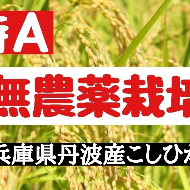 兵庫県丹波産こしひかり白米9kg(令和3年産)