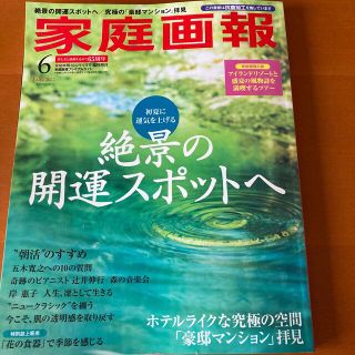 家庭画報プレミアムライト版 2022年 6月号(その他)