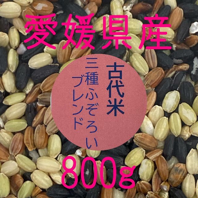 古代米3種ふぞろいブレンド　愛媛県産　800ｇ 食品/飲料/酒の食品(米/穀物)の商品写真