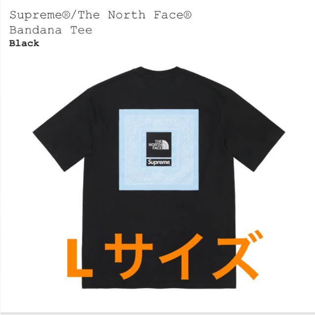 supreme  the north face Tシャツ　黒　Lサイズ