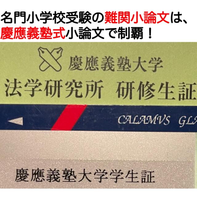 筑波大学附属小 慶応幼稚舎 横浜初等部 早稲田初等部 洗足 稲花 願書 過去問