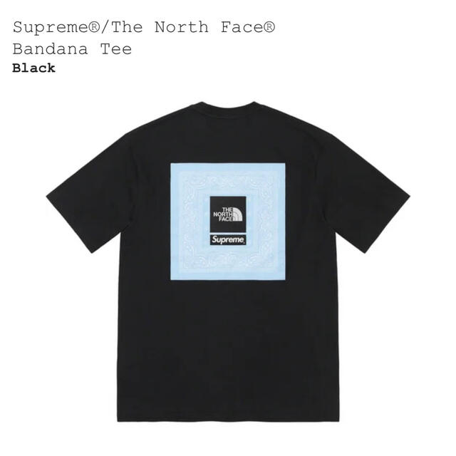 Supreme(シュプリーム)のSupreme®/The North Face バンダナTシャツ メンズのトップス(Tシャツ/カットソー(半袖/袖なし))の商品写真