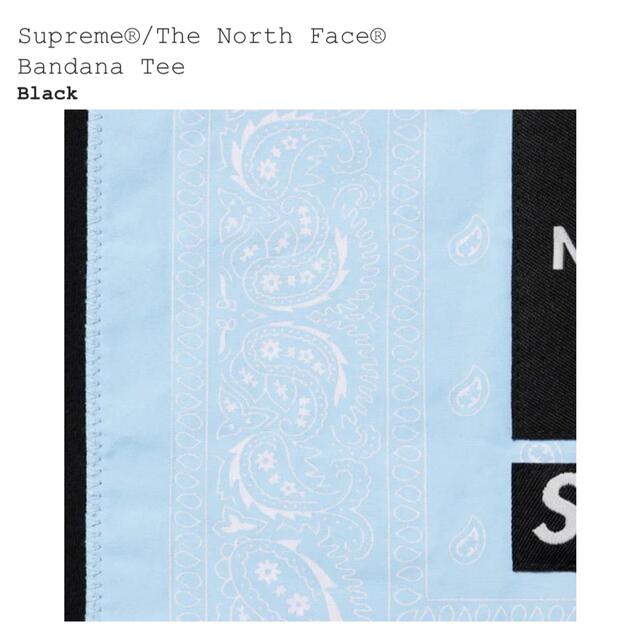 Supreme(シュプリーム)のSupreme®/The North Face バンダナTシャツ メンズのトップス(Tシャツ/カットソー(半袖/袖なし))の商品写真