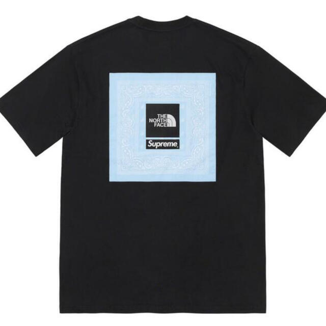 Supreme(シュプリーム)のM Supreme / The North Face Bandana Tee  メンズのトップス(Tシャツ/カットソー(半袖/袖なし))の商品写真