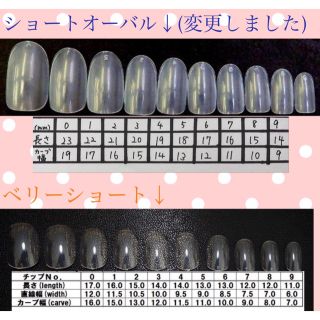 秋冬カラーのうるつやオフィスネイル★ コスメ/美容のネイル(つけ爪/ネイルチップ)の商品写真