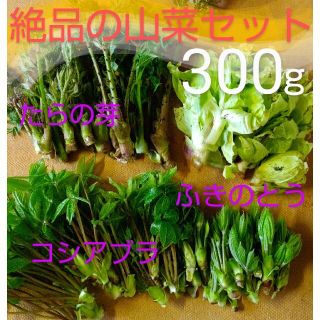 【限定１セット‼️】絶品の山菜セット(野菜)