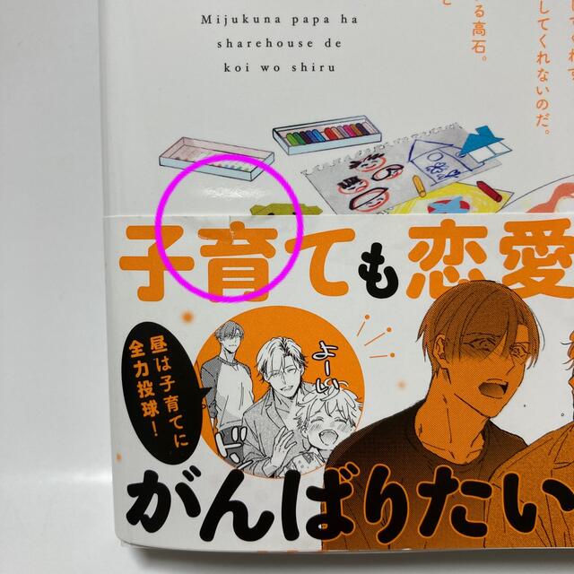 未熟なパパはシェアハウスで恋を知る ２ エンタメ/ホビーの漫画(ボーイズラブ(BL))の商品写真